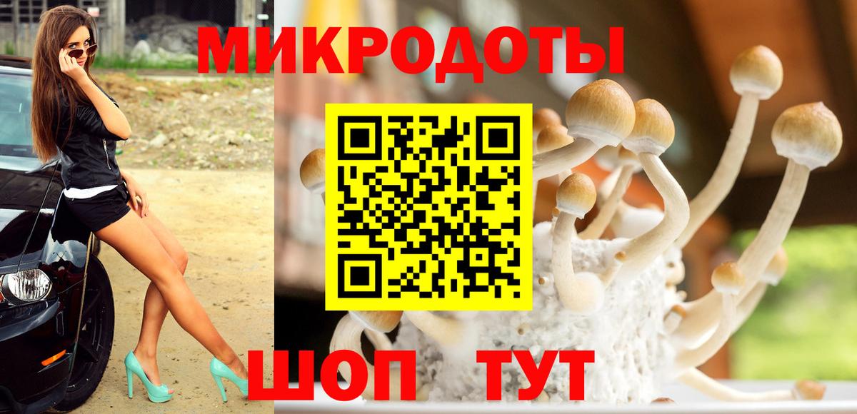 купить  цена  Псилоцибиновые грибы Magic Shrooms  Галлюциногенные грибы Psilocybine cubensis  Вход с VPN  Королёв 